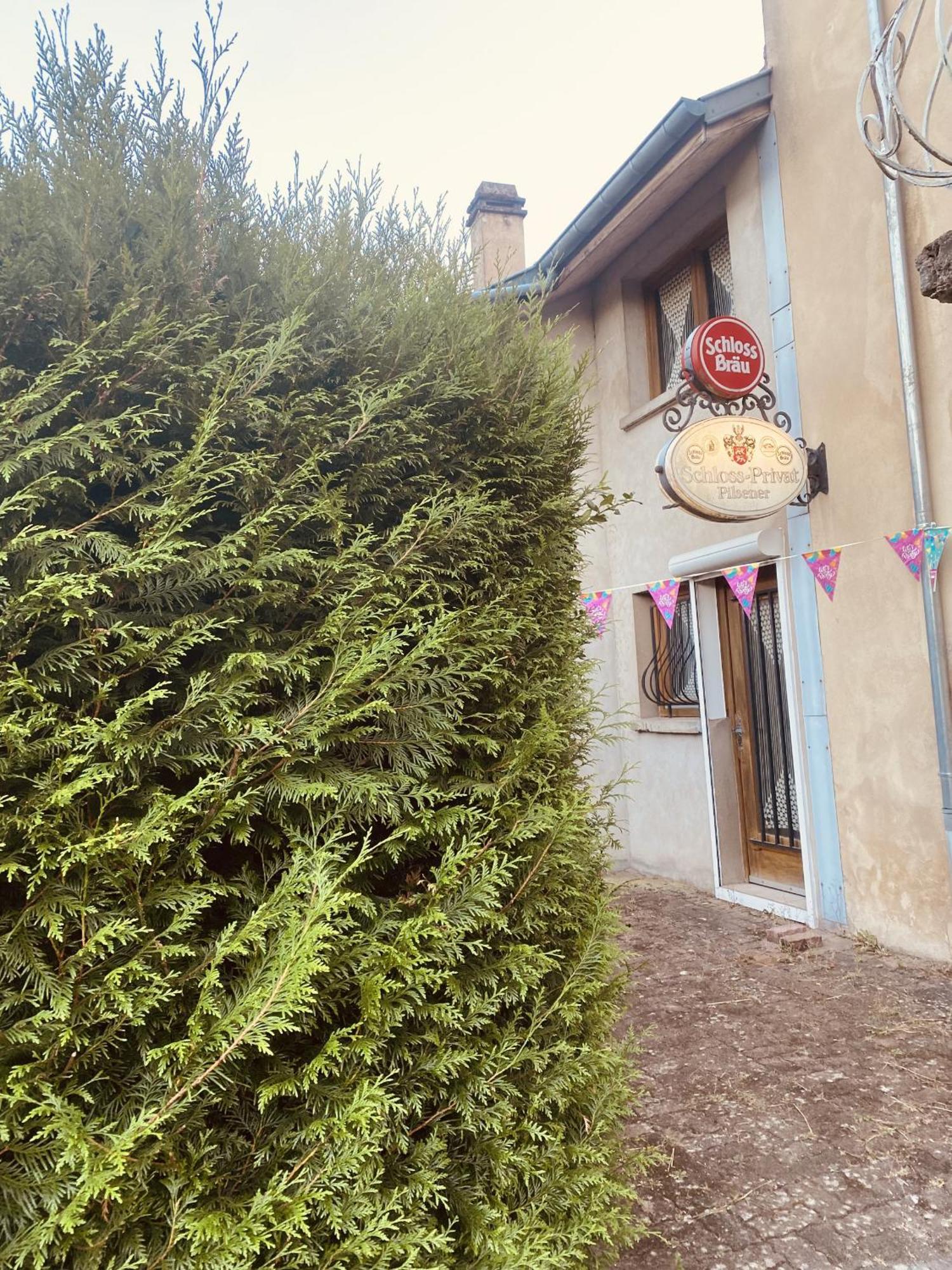 La Mariefacture - Comme A La Guinguette ! Villa Hombourg-Haut Kültér fotó
