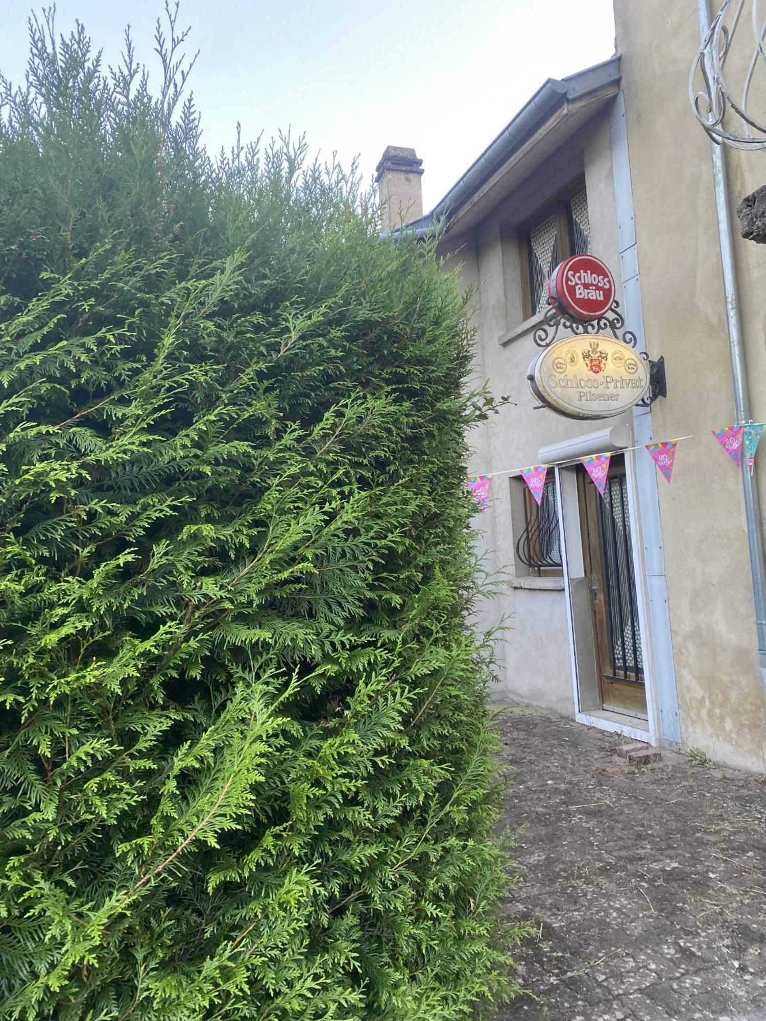 La Mariefacture - Comme A La Guinguette ! Villa Hombourg-Haut Kültér fotó